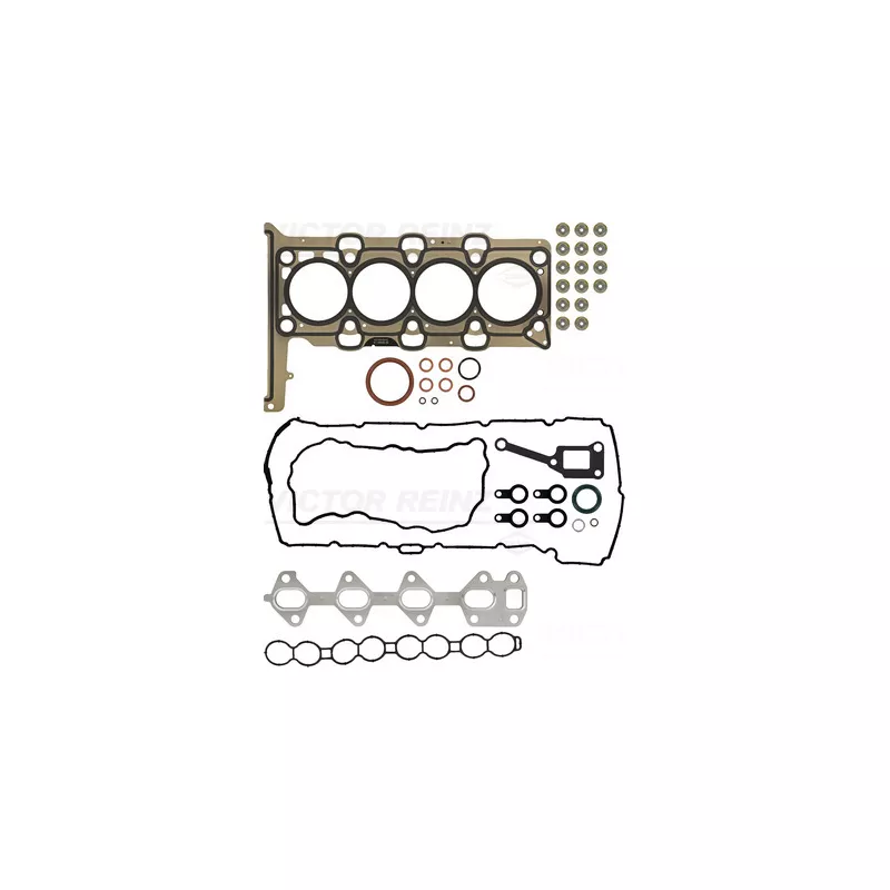 Pochette moteur complète VICTOR REINZ 01-10016-01