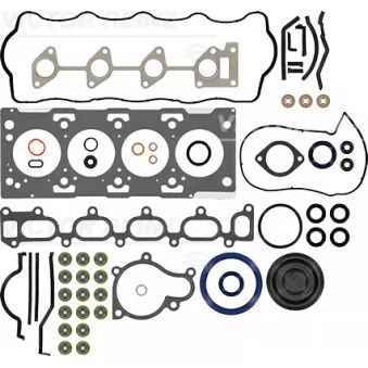Pochette moteur complète VICTOR REINZ