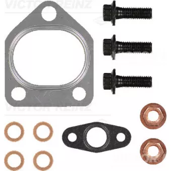Kit de montage, turbo VICTOR REINZ 04-10029-01