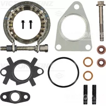 Kit de montage, turbo VICTOR REINZ 04-10061-01