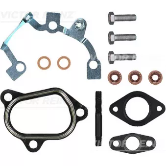 Kit de montage, turbo VICTOR REINZ 04-10073-01