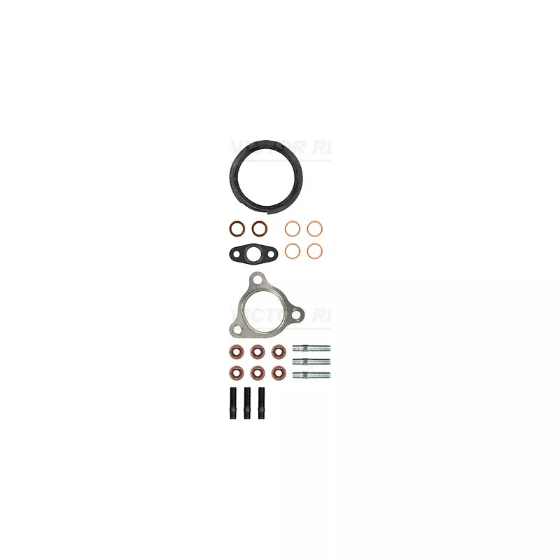 Kit de montage, turbo VICTOR REINZ 04-10166-01