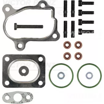 Kit de montage, turbo VICTOR REINZ 04-10204-01