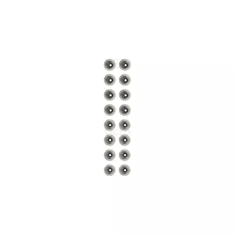 Jeu de joints d'étanchéité, tige de soupape VICTOR REINZ 12-10017-01