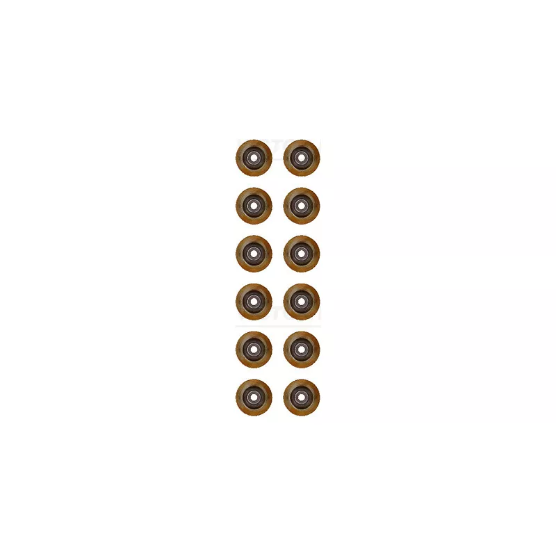 Bague d'étanchéité, tige de soupape VICTOR REINZ 12-13237-01