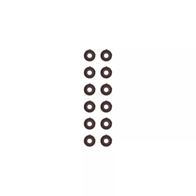 Jeu de joints d'étanchéité, tige de soupape VICTOR REINZ 12-53028-01