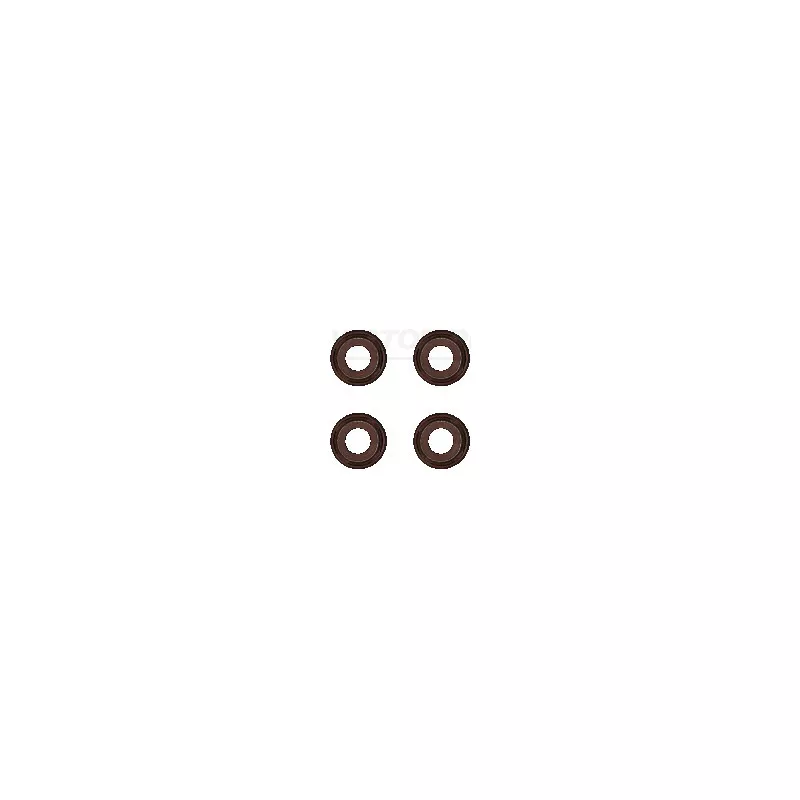 Jeu de joints d'étanchéité, tige de soupape VICTOR REINZ 12-53043-01