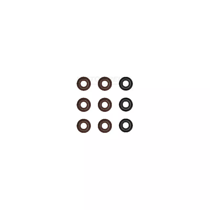 Jeu de joints d'étanchéité, tige de soupape VICTOR REINZ 12-53043-02