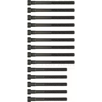 Jeu de boulons de culasse de cylindre VICTOR REINZ