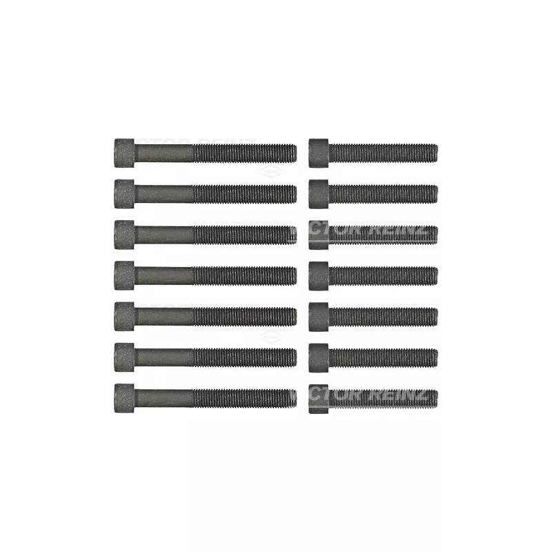 Jeu de boulons de culasse de cylindre VICTOR REINZ 14-32039-02