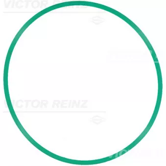 Joint d'étanchéité, carter de collecteur d'admission VICTOR REINZ
