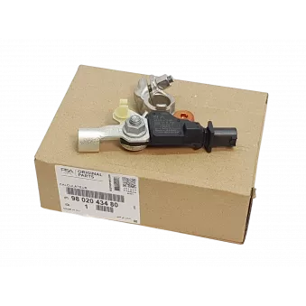 Module, Unité de contrôle BSI OE