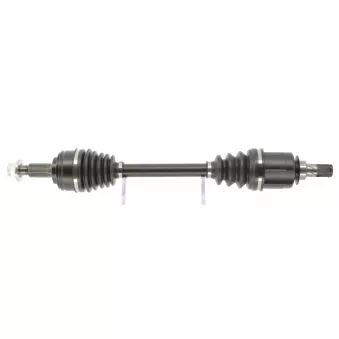 Arbre de transmission CEVAM 50727
