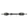 Arbre de transmission CEVAM 50831 - Visuel 1