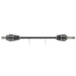Arbre de transmission CEVAM 51216Z - Visuel 1