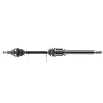Arbre de transmission CEVAM 51342
