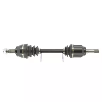 Arbre de transmission CEVAM 51455
