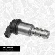Valve de commande, réglage d'arbres à came ET ENGINETEAM CV0013VR1 - Visuel 2