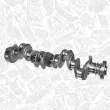Vilebrequin ET ENGINETEAM HK0211 - Visuel 2