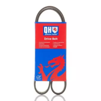 Courroie trapézoïdale à nervures QUINTON HAZELL QBR61042E