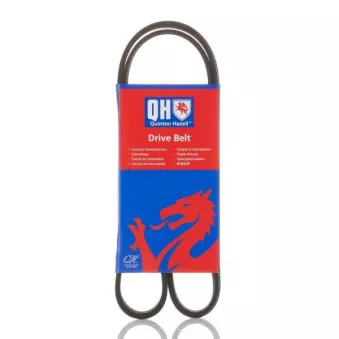 Courroie trapézoïdale à nervures QUINTON HAZELL QBR61055