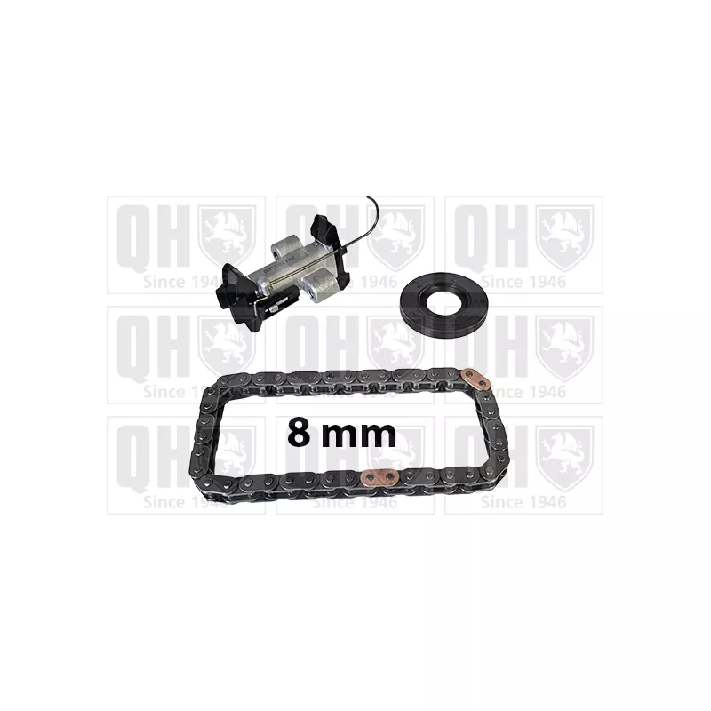 Kit de distribution par chaîne QUINTON HAZELL QCK135