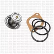 Thermostat d'eau QUINTON HAZELL QTH481K - Visuel 2