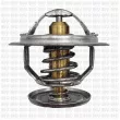 Thermostat d'eau QUINTON HAZELL QTH481K - Visuel 3