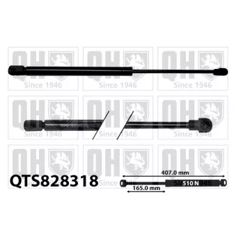Vérin, capot-moteur QUINTON HAZELL QTS828318