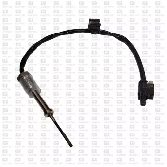 Capteur, température des gaz QUINTON HAZELL XEPS137