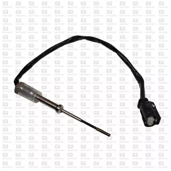 Capteur, température des gaz QUINTON HAZELL XEPS138