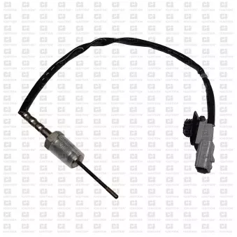 Capteur, température des gaz QUINTON HAZELL XEPS209