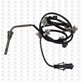 Capteur, température des gaz QUINTON HAZELL XEPS212