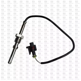 Capteur, température des gaz QUINTON HAZELL XEPS241
