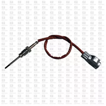 Capteur, température des gaz QUINTON HAZELL XEPS244