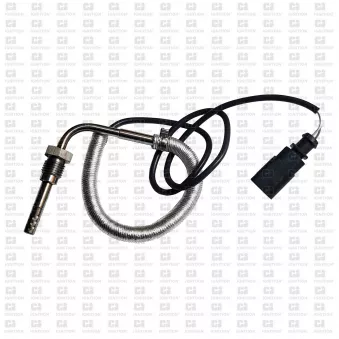 Capteur, température des gaz QUINTON HAZELL XEPS250