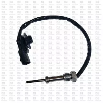 Capteur, température des gaz QUINTON HAZELL XEPS252