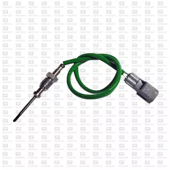 Capteur, température des gaz QUINTON HAZELL XEPS254