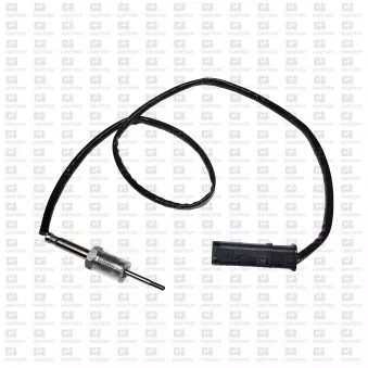 Capteur, température des gaz QUINTON HAZELL XEPS264