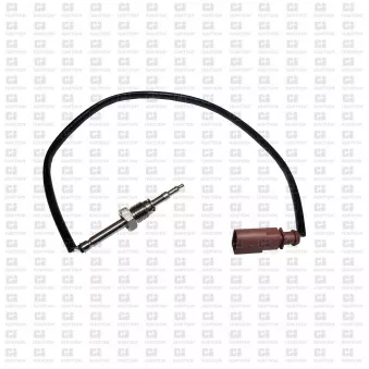 Capteur, température des gaz QUINTON HAZELL XEPS284