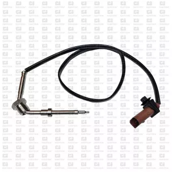 Capteur, température des gaz QUINTON HAZELL XEPS289