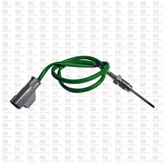 Capteur, température des gaz QUINTON HAZELL XEPS291