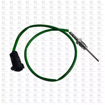 Capteur, température des gaz QUINTON HAZELL XEPS292