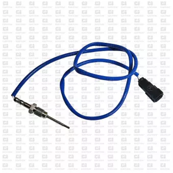 Capteur, température des gaz QUINTON HAZELL XEPS293