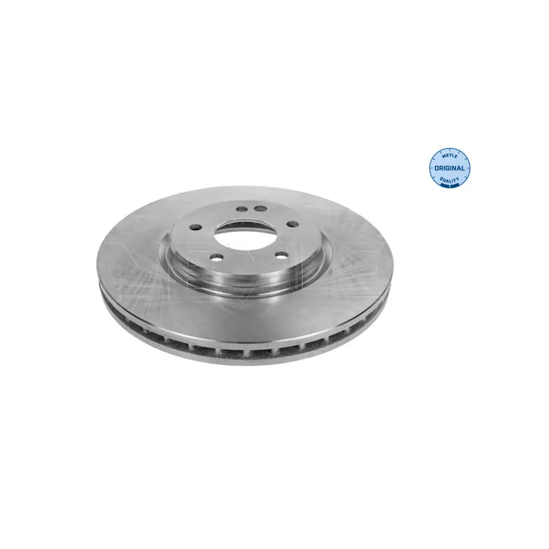 Jeu de 2 disques de frein avant MEYLE 015 521 0036