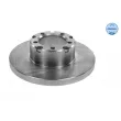 Jeu de 2 disques de frein avant MEYLE 015 521 2015 - Visuel 1