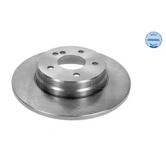 Jeu de 2 disques de frein arrière MEYLE 015 523 0024