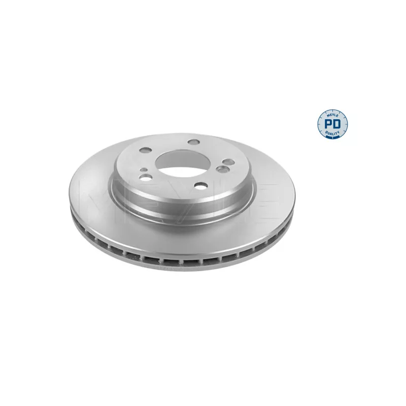Jeu de 2 disques de frein arrière MEYLE 015 523 0029/PD