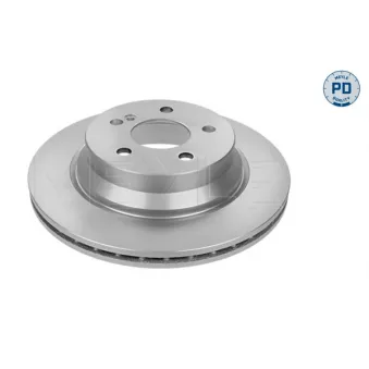 Jeu de 2 disques de frein arrière MEYLE 015 523 0038/PD