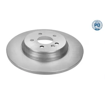 Jeu de 2 disques de frein arrière MEYLE 015 523 0039/PD